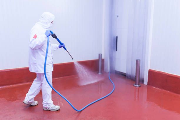Best Rust Removal  in Gleneagle, CO